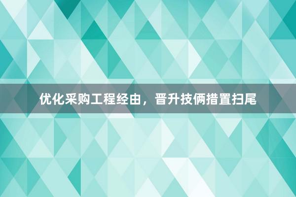 优化采购工程经由，晋升技俩措置扫尾